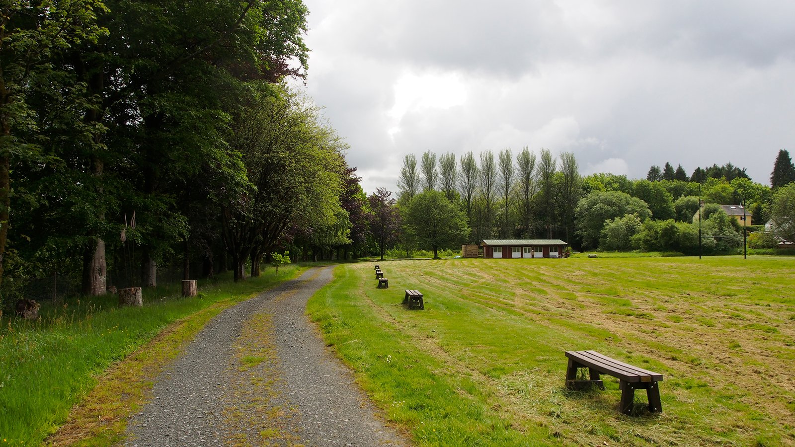 Dolwen Field, Llanwrtyd Wells