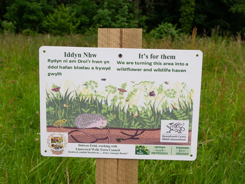 Wildflower sign, Dolwen Field